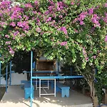 Litsas Fanes (Rhodes)