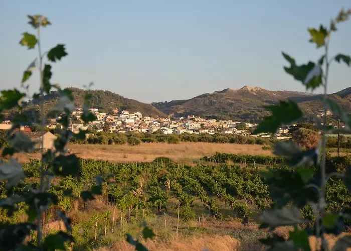 Litsas Oda ve Kahvaltı Fánai