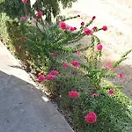 Litsas Fanes (Rhodes)