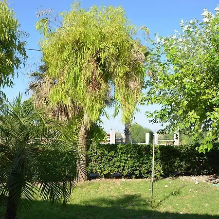 Litsas Oda ve Kahvaltı Fánai