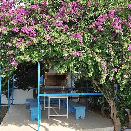 Litsas Φάνες